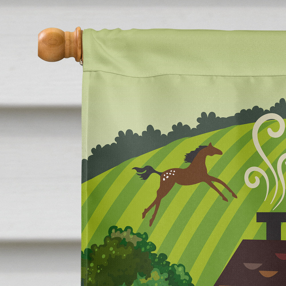Folk Art Country House Flag Canvas House Size VHA3024CHF