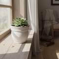 Farmhouse white ceramic planter with succulent on windowsill